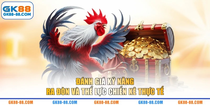 Đánh giá kỹ năng ra đòn và thể lực chiến kê thực tế