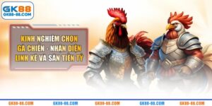 Kinh Nghiệm Chọn Gà Chiến