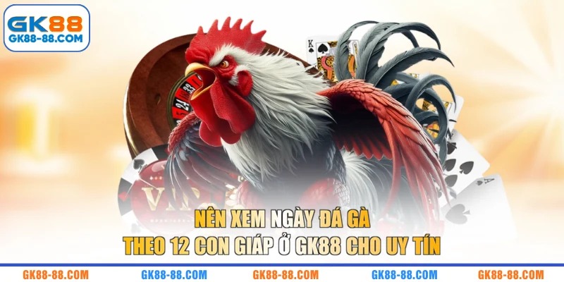 Nên xem ngày đá gà theo 12 con giáp ở GK88 cho uy tín