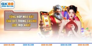 Mẹo Bắt Cầu Bệt Trong Casino Live Mới Nhất 